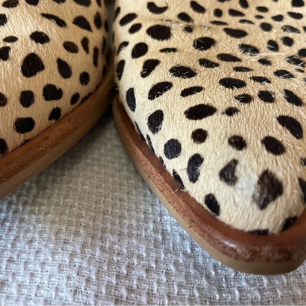 Dolce Vita Sonni Pointe bootie - Picture 7 of 12